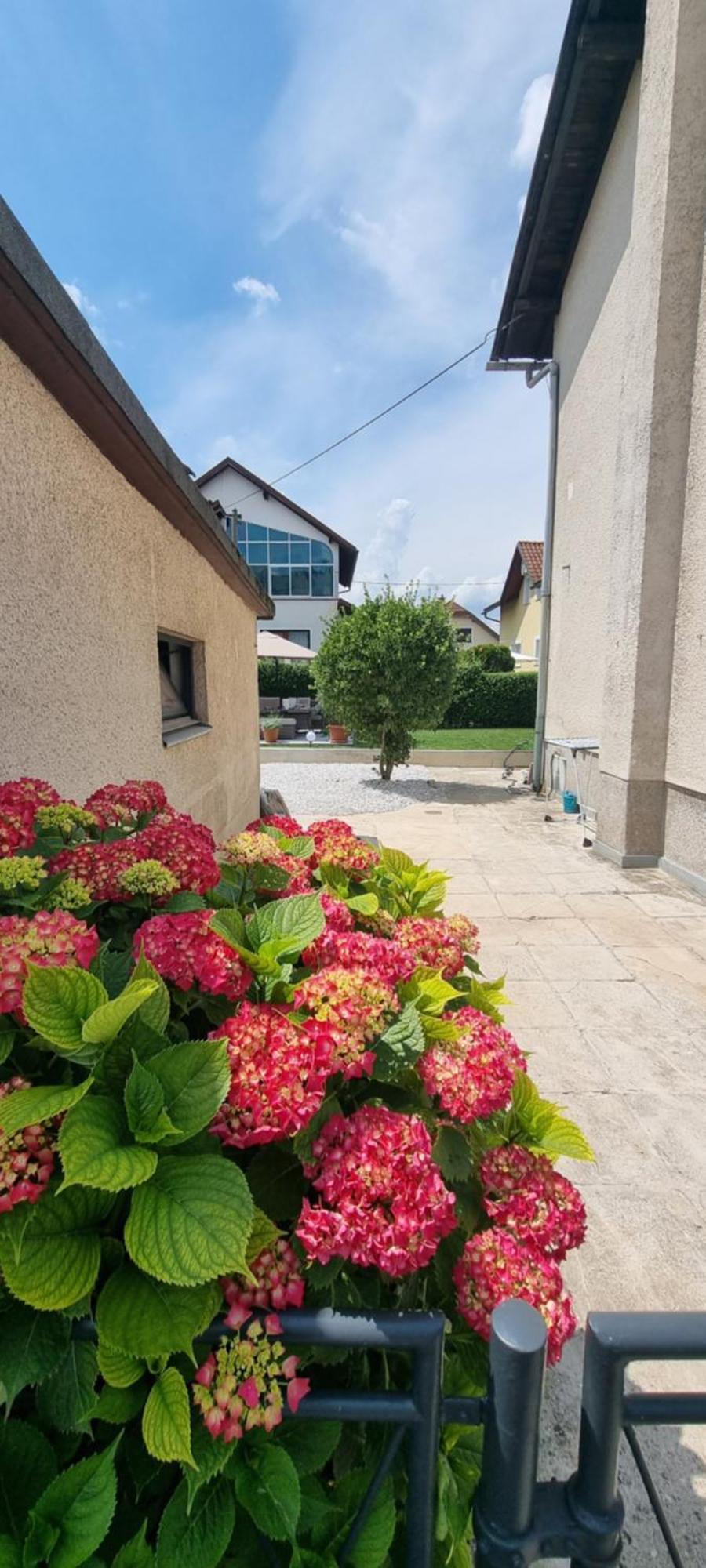 Privat House Lena With Garden&Free Parking Villa Ljubljana Buitenkant foto